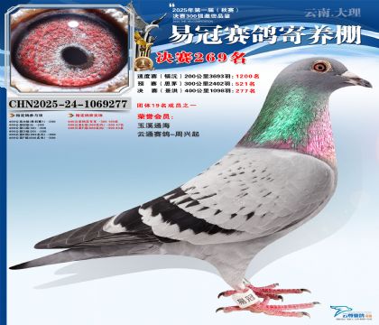 �����׹ھ���269��