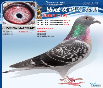 �����׹ھ���270��