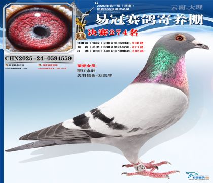 �����׹ھ���274��