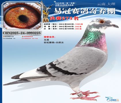 �����׹ھ���275��