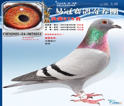 �����׹ھ���278��