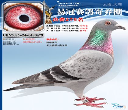 �����׹ھ���279��