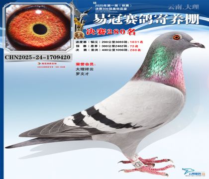 �����׹ھ���280��