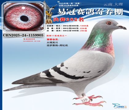 �����׹ھ���282��