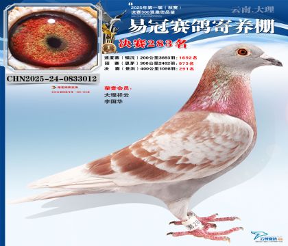 �����׹ھ���283��