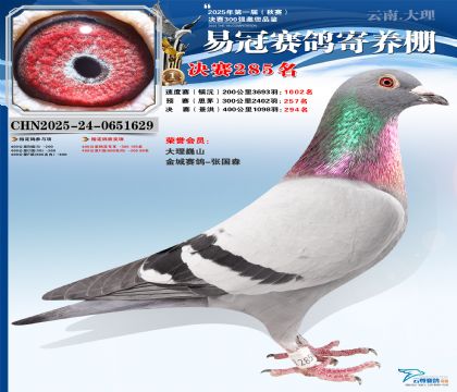 �����׹ھ���285��