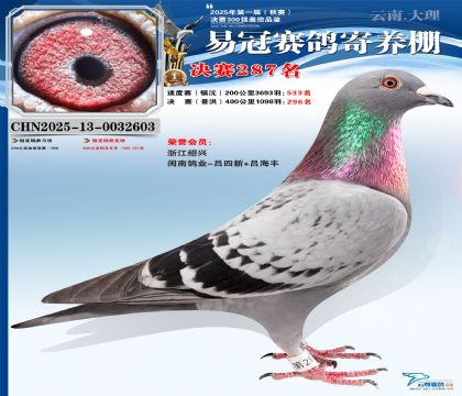 �����׹ھ���287��