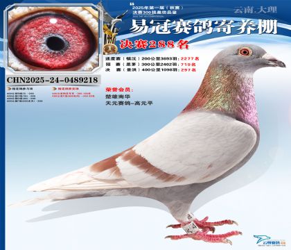 �����׹ھ���288��