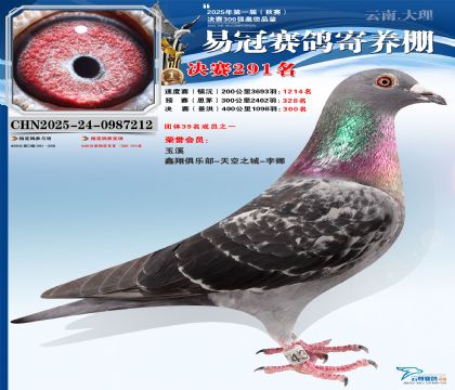 �����׹ھ���291��