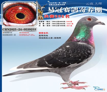 �����׹ھ���292��