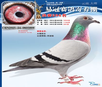 �����׹ھ���296��