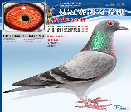 �����׹ھ���299��