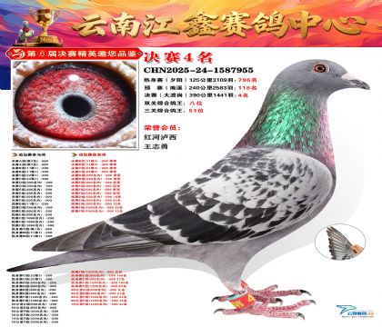 »Ȱ���ξ���4��