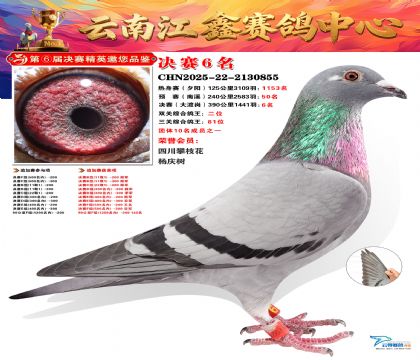 »Ȱ���ξ���6��