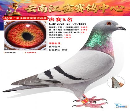 »Ȱ���ξ���8��