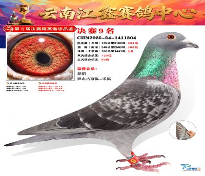 »Ȱ���ξ���9��