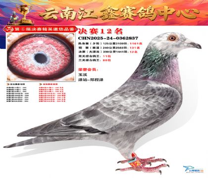 »Ȱ���ξ���12��