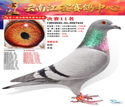 »Ȱ���ξ���11��