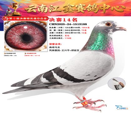 »Ȱ���ξ���14��