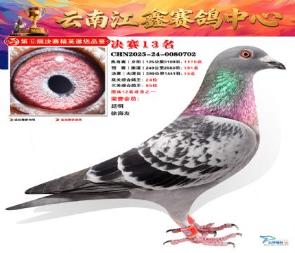 »Ȱ���ξ���13��