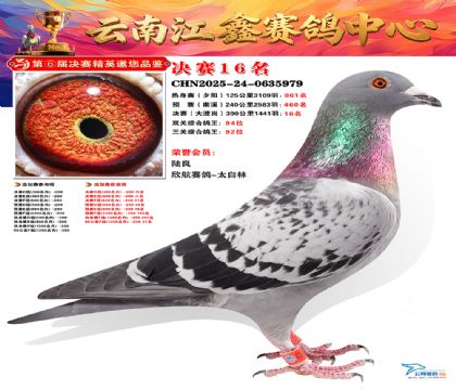 »Ȱ���ξ���16��