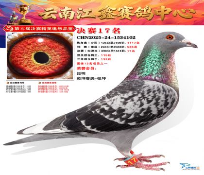 »Ȱ���ξ���17��