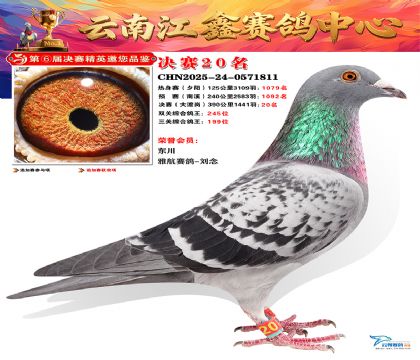 »Ȱ���ξ���20��