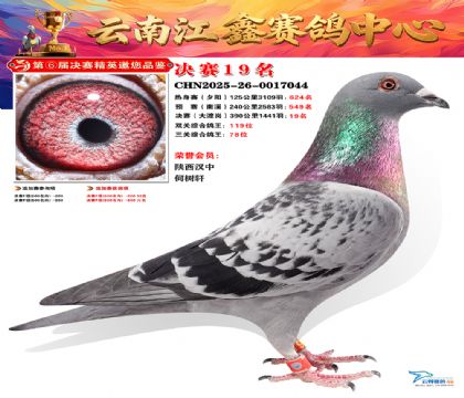 »Ȱ���ξ���19��