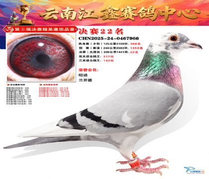 »Ȱ���ξ���22��