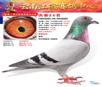 »Ȱ���ξ���24��