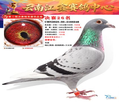 »Ȱ���ξ���26��