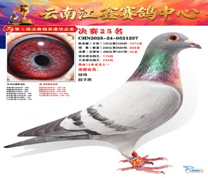 »Ȱ���ξ���25��