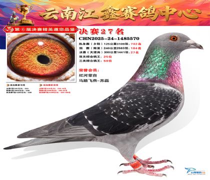 »Ȱ���ξ���27��