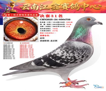 »Ȱ���ξ���31��