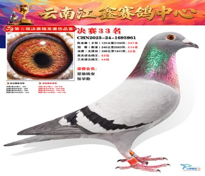 »Ȱ���ξ���33��