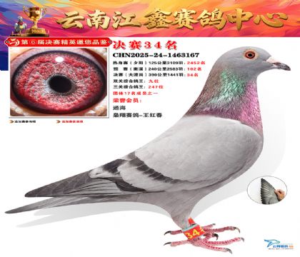 »Ȱ���ξ���34��