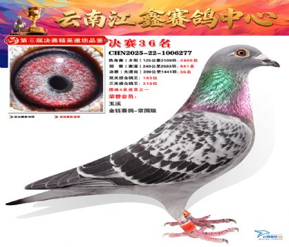 »Ȱ���ξ���36��