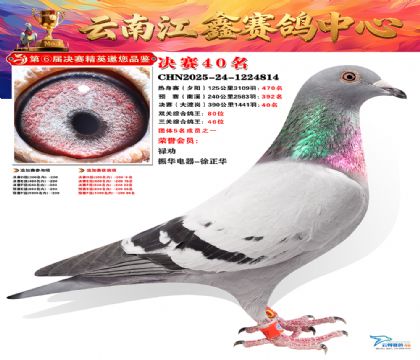 »Ȱ���ξ���40��