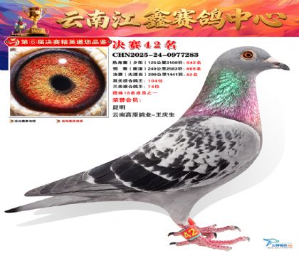 »Ȱ���ξ���42��