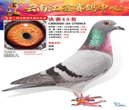 »Ȱ���ξ���43��