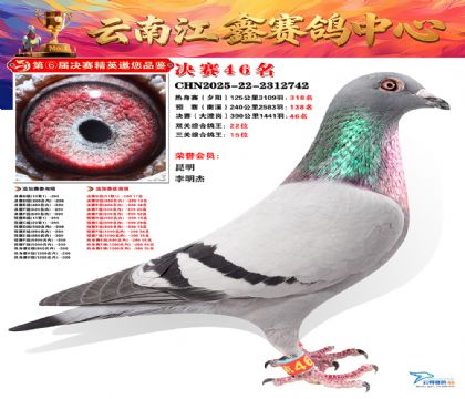 »Ȱ���ξ���46��