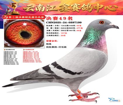 »Ȱ���ξ���49��