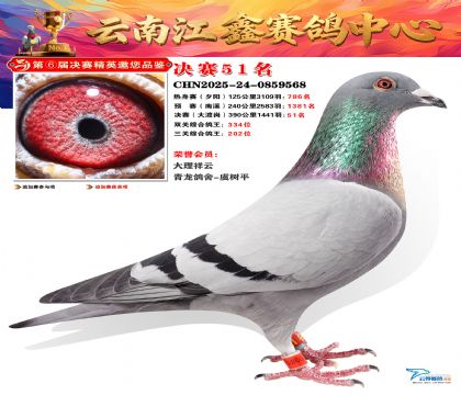 »Ȱ���ξ���51��