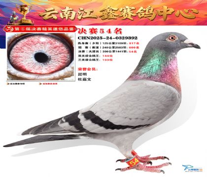 »Ȱ���ξ���54��