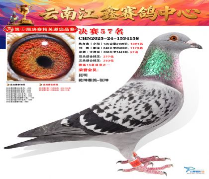 »Ȱ���ξ���57��