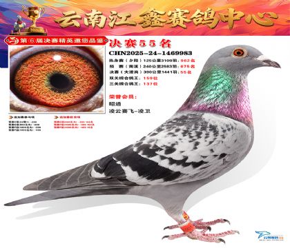 »Ȱ���ξ���55��