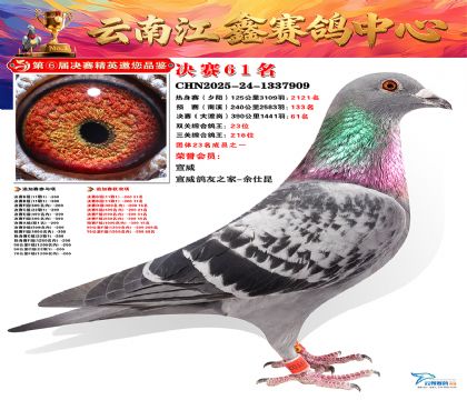 »Ȱ���ξ���61��