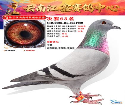 »Ȱ���ξ���63��