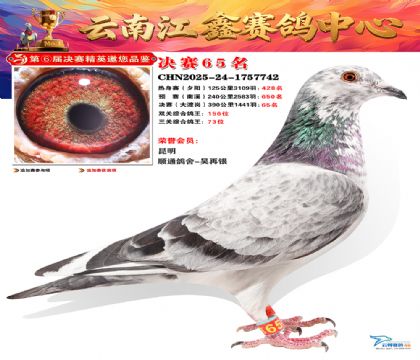 »Ȱ���ξ���65��