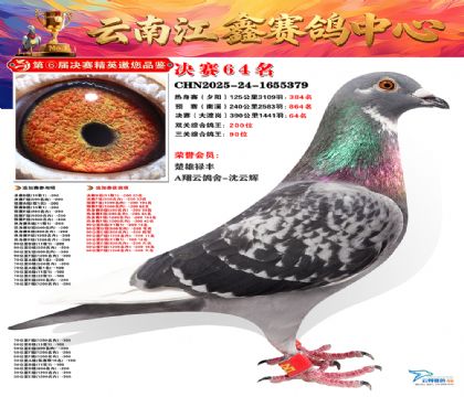 »Ȱ���ξ���64��